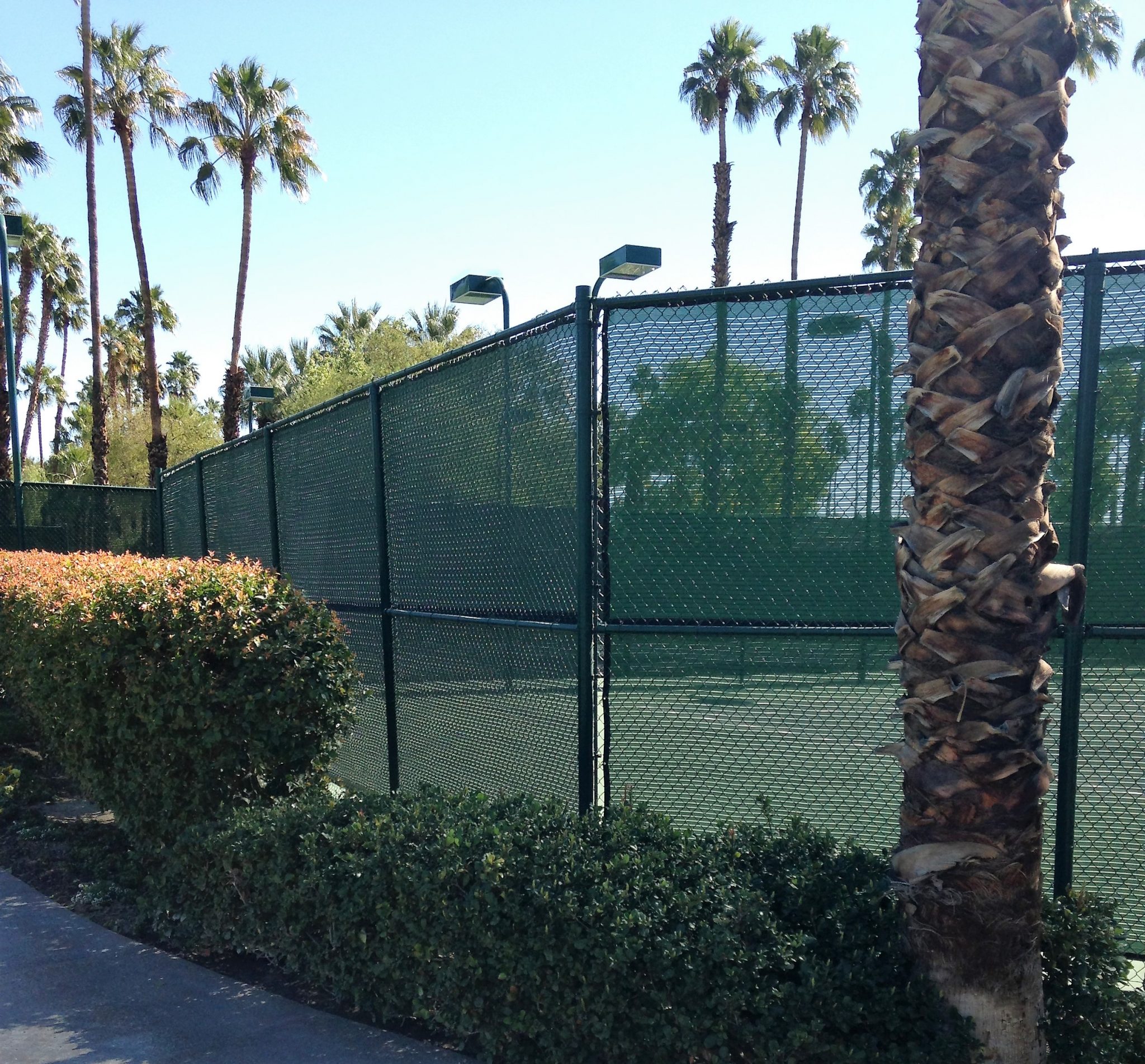 The Best Value Upgrades For Your Pickleball Courts All Court Fabrics